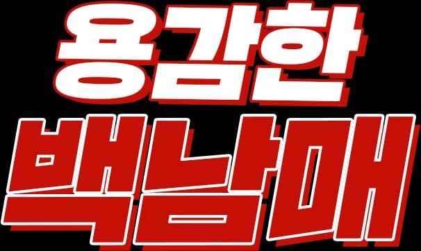용감한 백남매